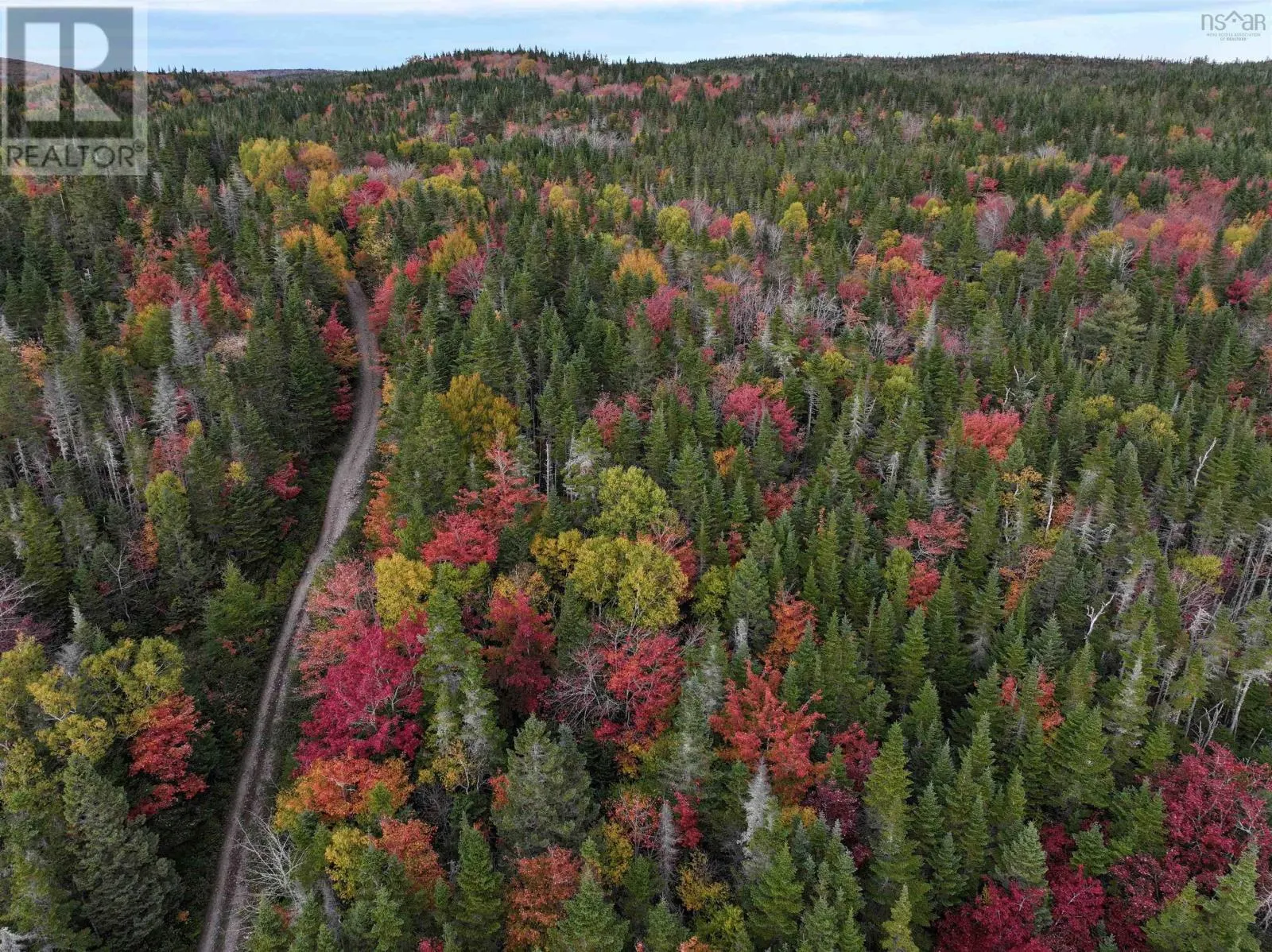 Lot 1 Highway 316