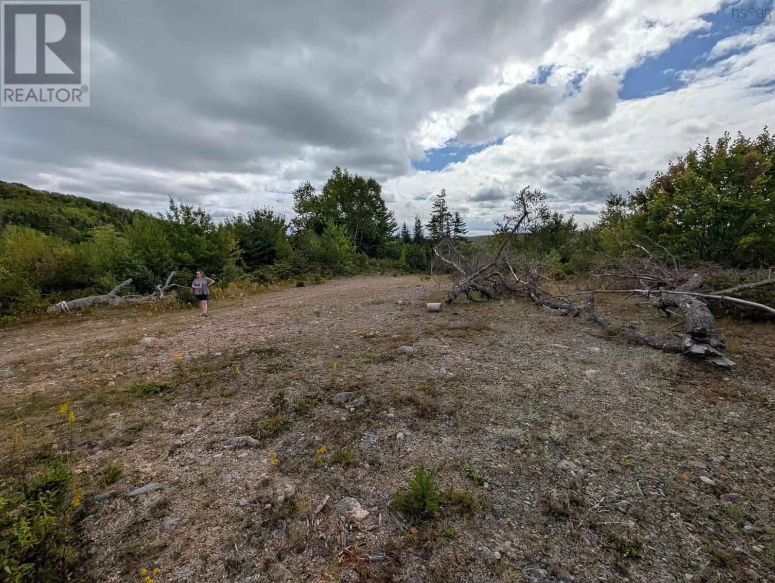 Lot 1 Highway 316