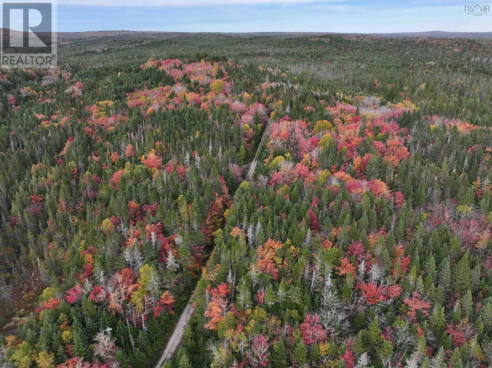 Lot 1 Highway 316