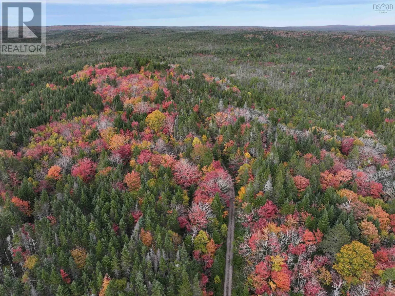 Lot 1 Highway 316