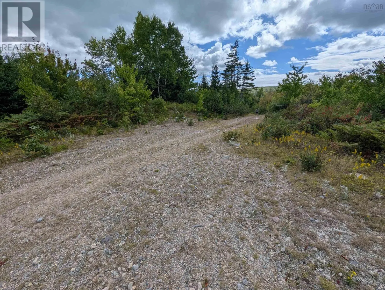 Lot 1 Highway 316