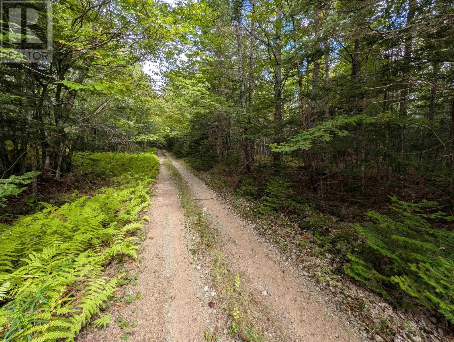 Lot 1 Highway 316