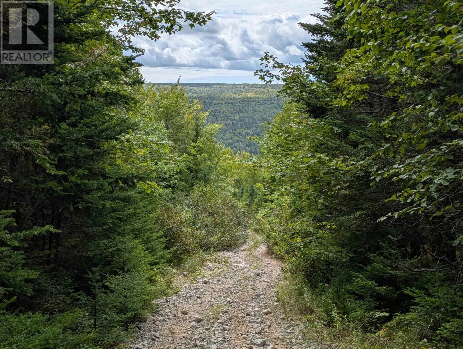 Lot 1 Highway 316
