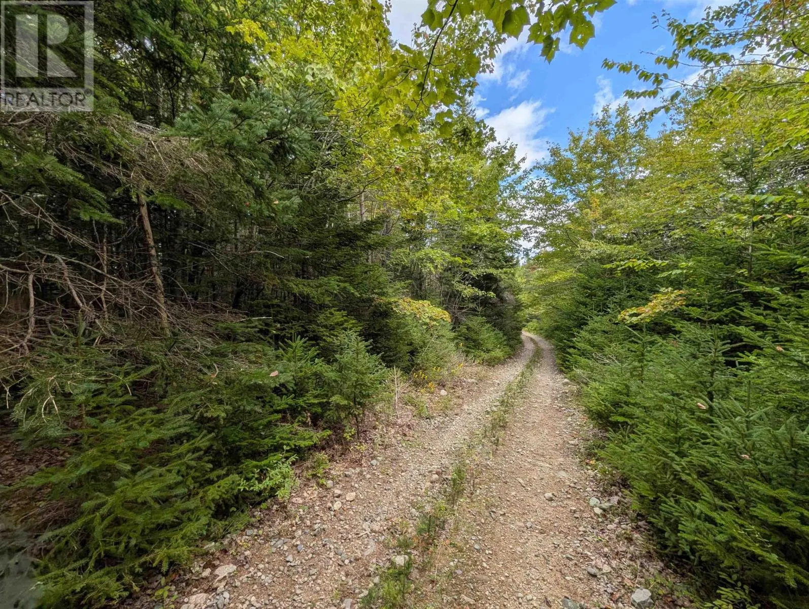 Lot 1 Highway 316