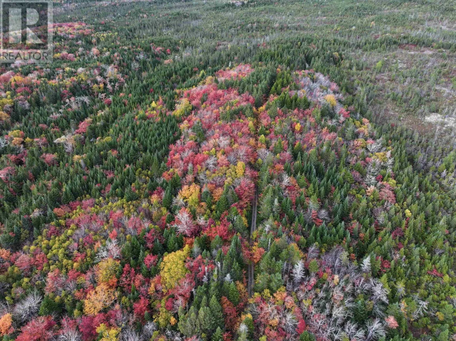 Lot 1 Highway 316