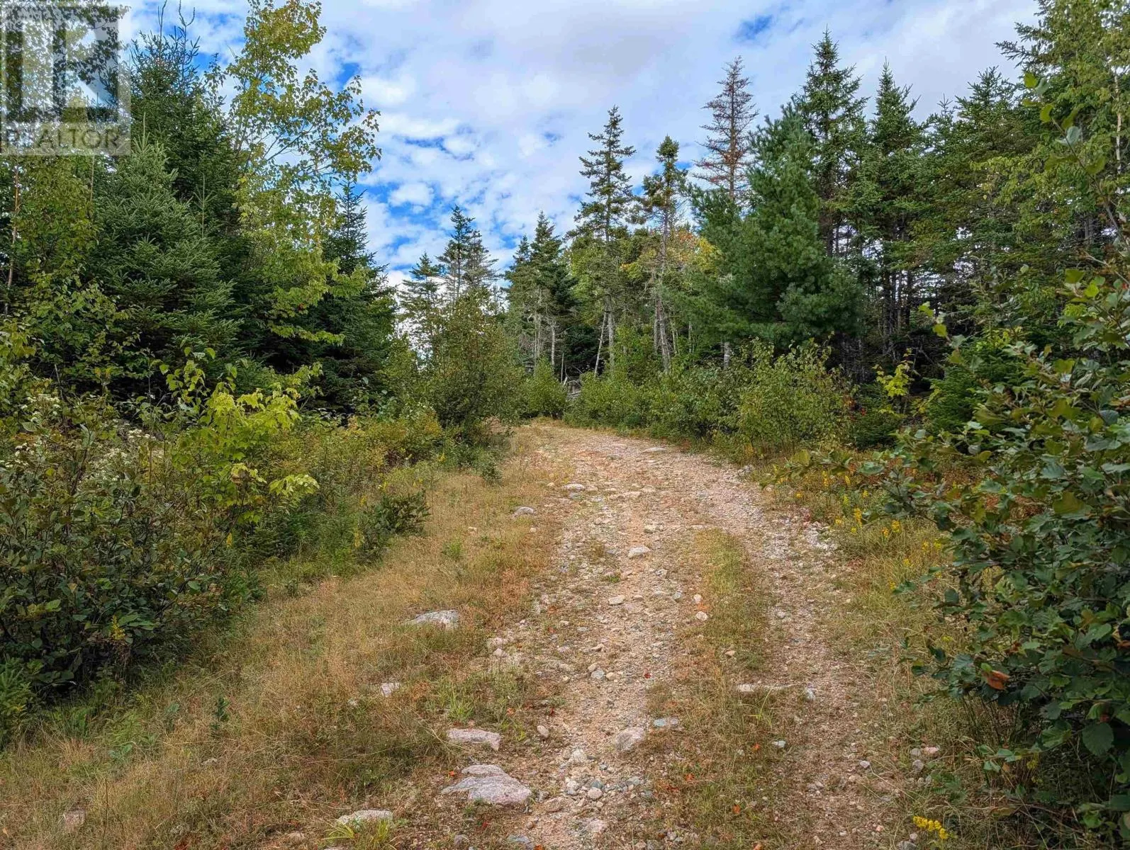 Lot 1 Highway 316
