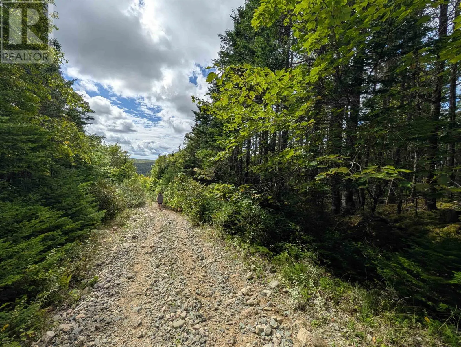Lot 1 Highway 316