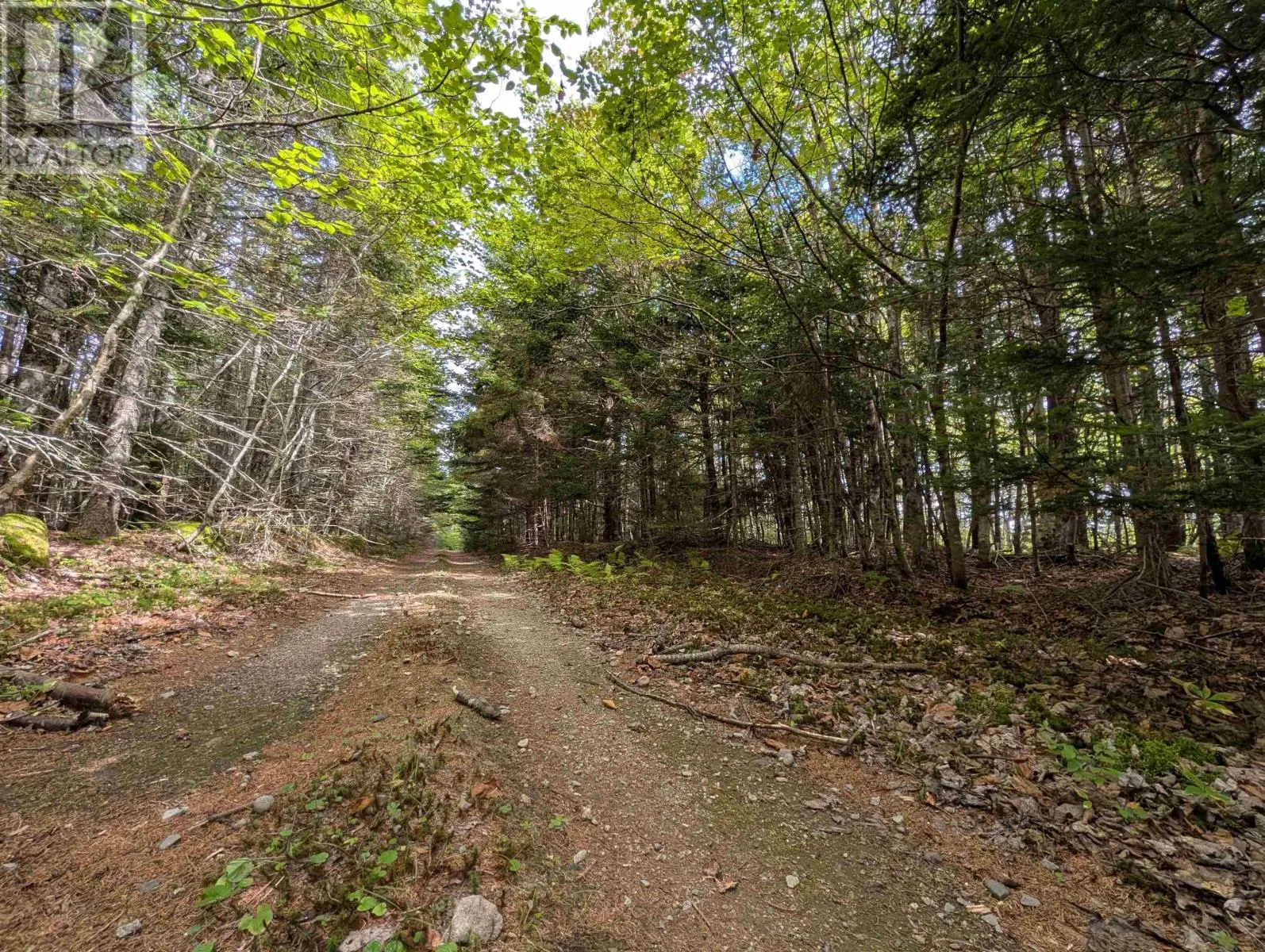 Lot 1 Highway 316