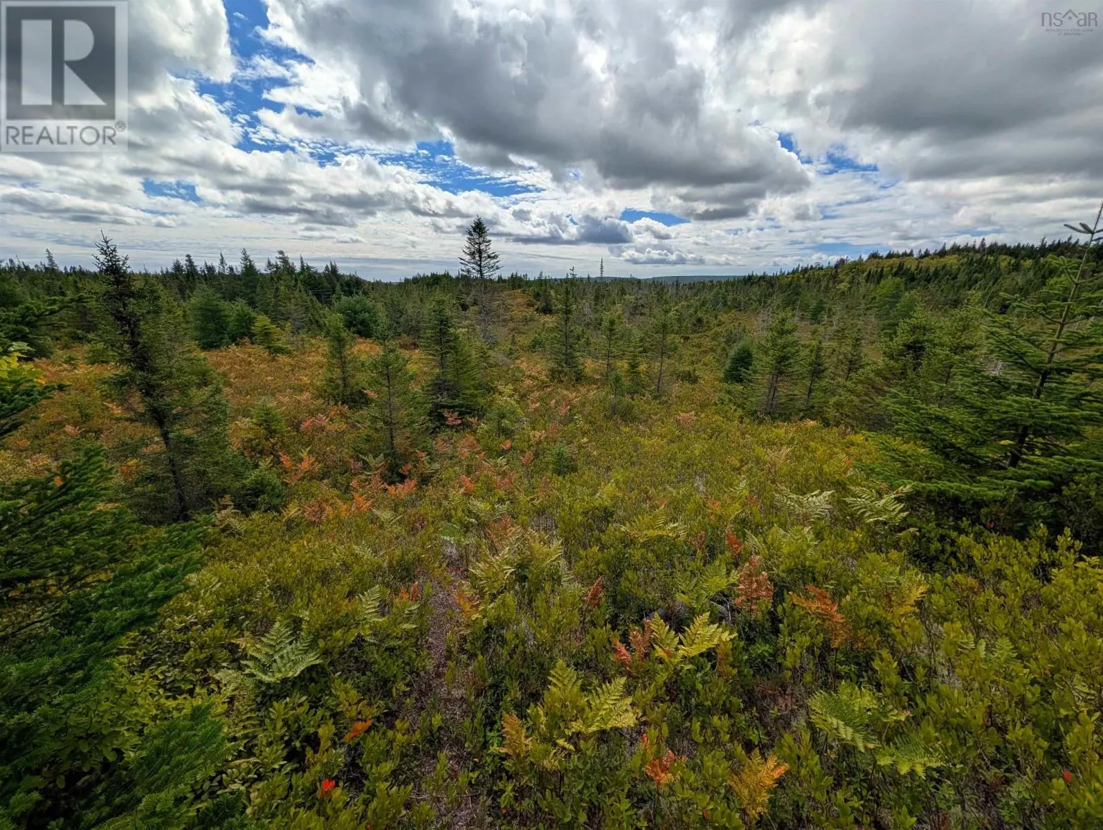 Lot 1 Highway 316