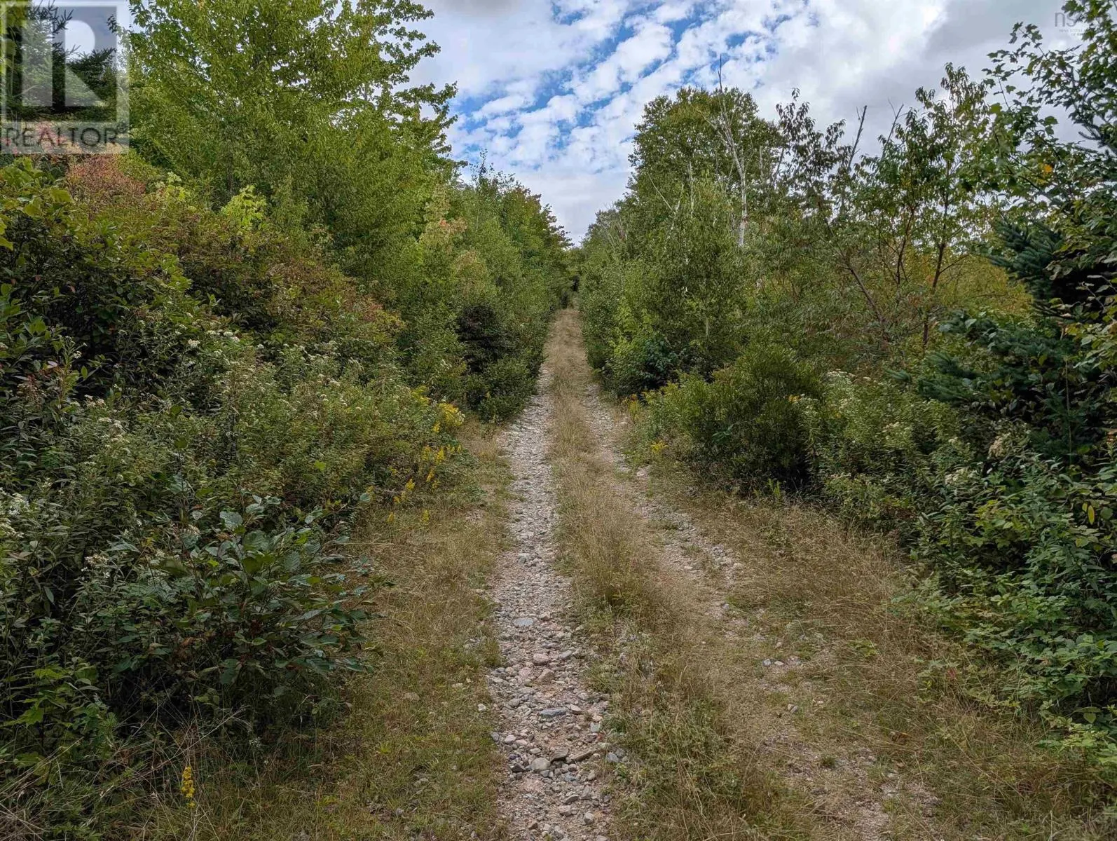 Lot 1 Highway 316