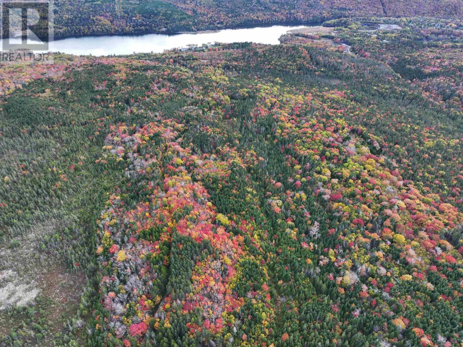 Lot 1 Highway 316