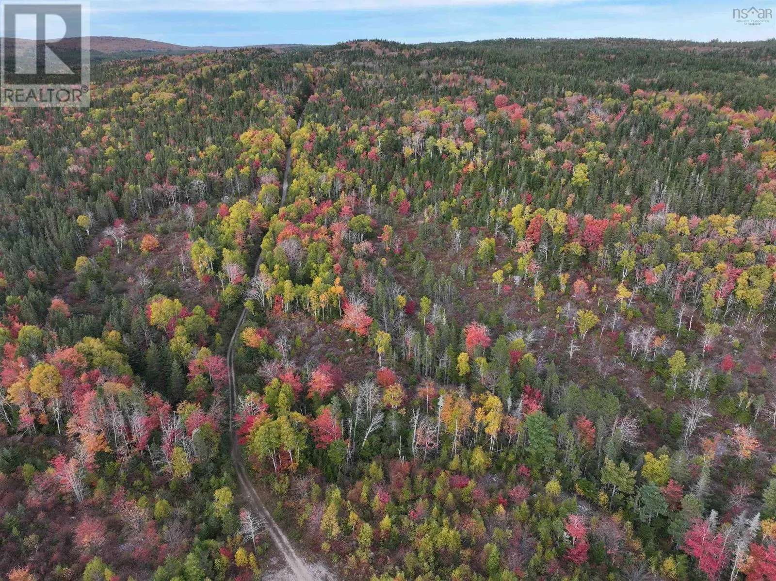 Lot 1 Highway 316