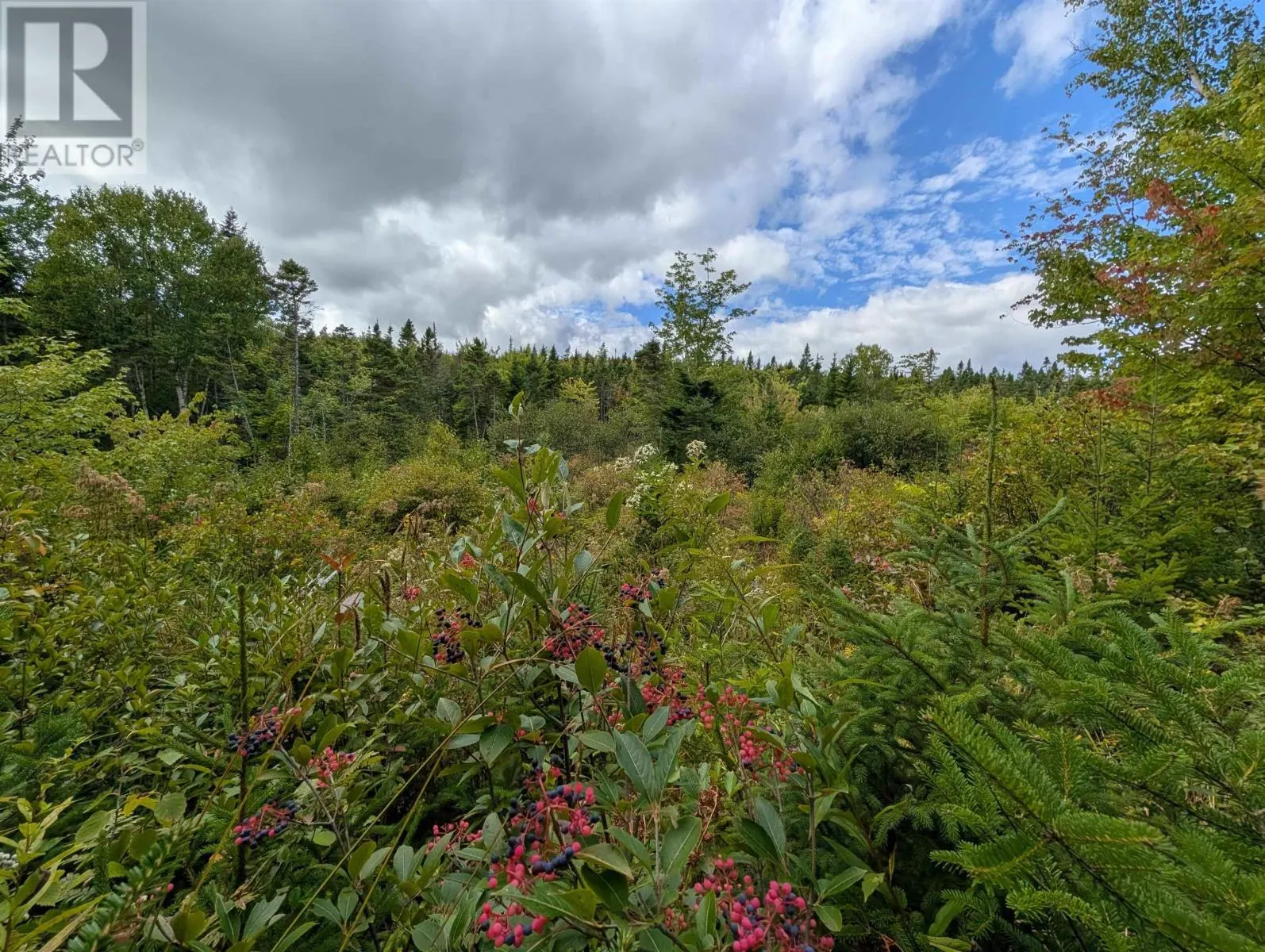 Lot 1 Highway 316