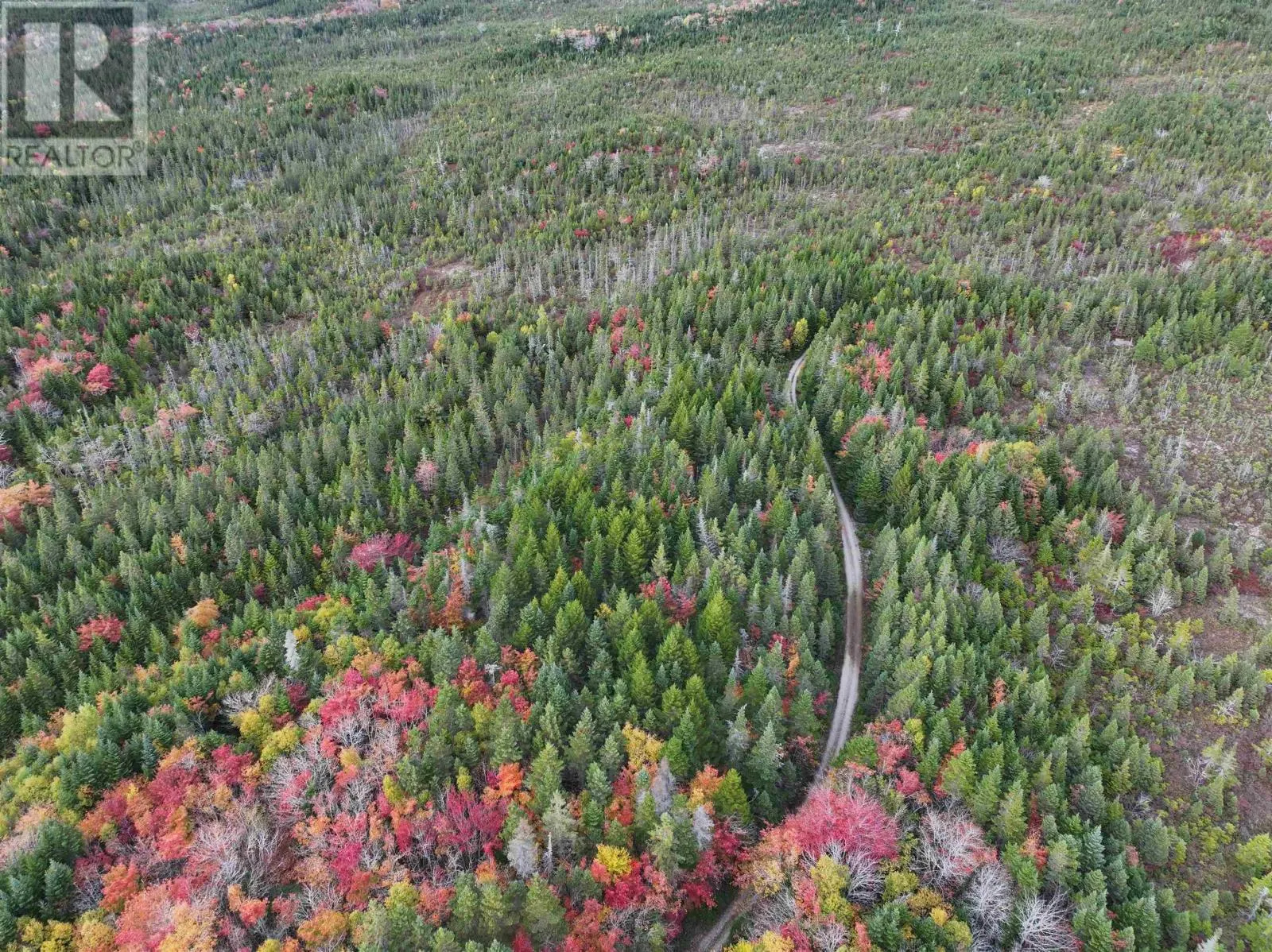Lot 1 Highway 316