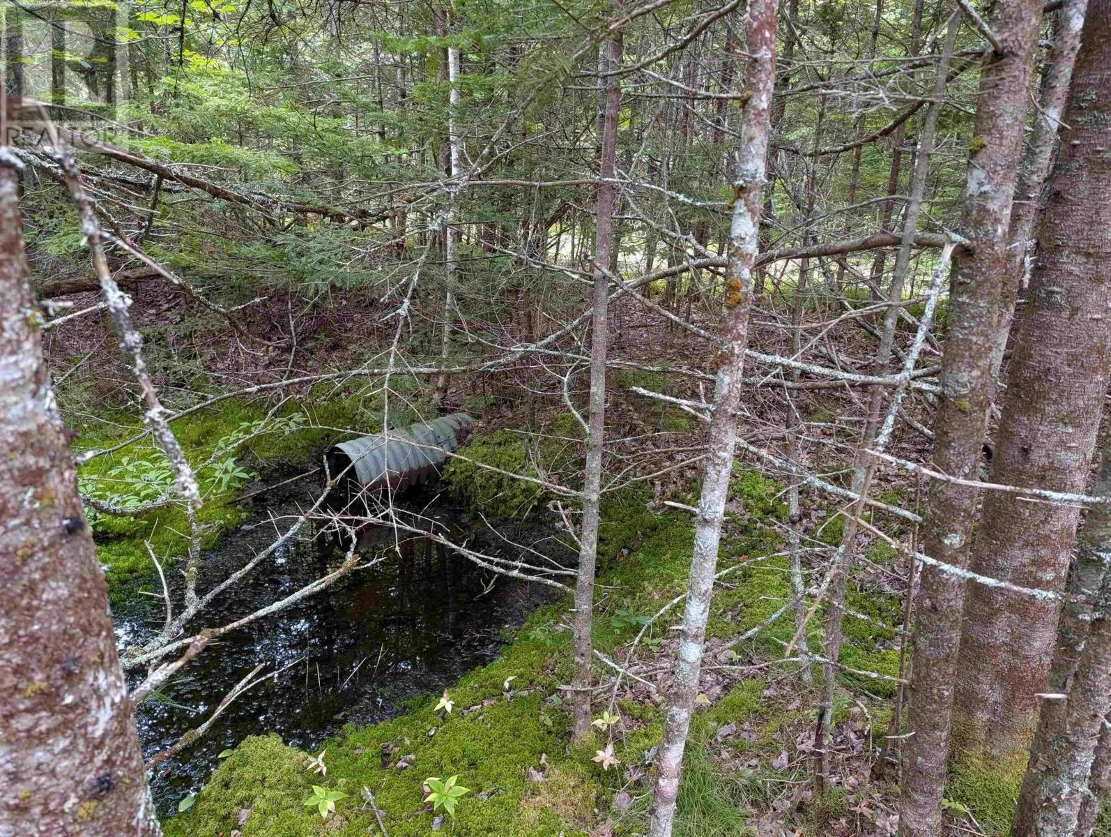 Lot 1 Highway 316