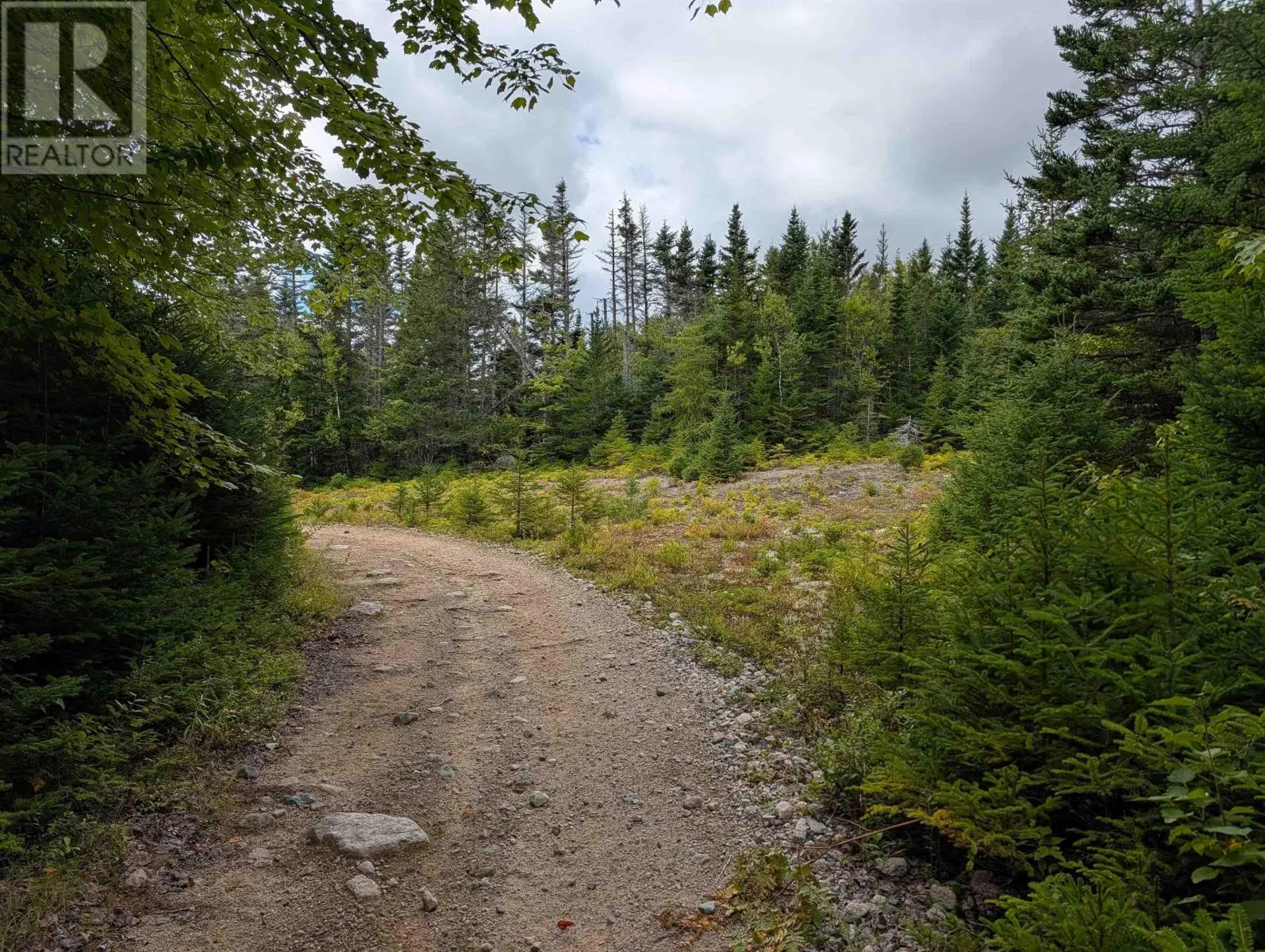 Lot 1 Highway 316