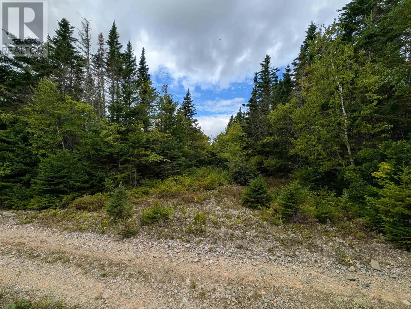 Lot 1 Highway 316