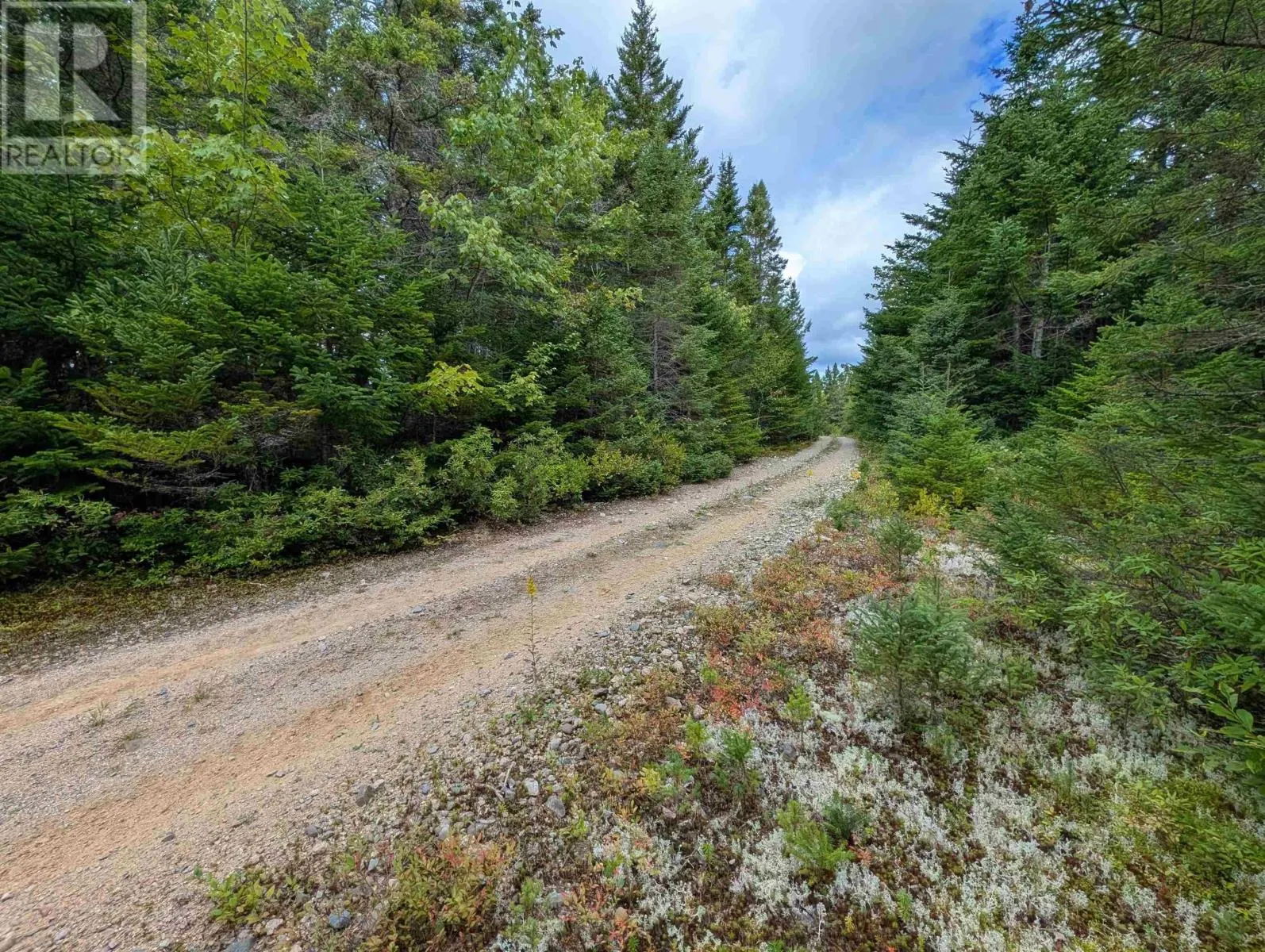 Lot 1 Highway 316