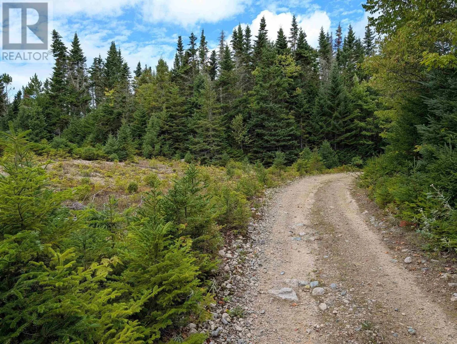 Lot 1 Highway 316