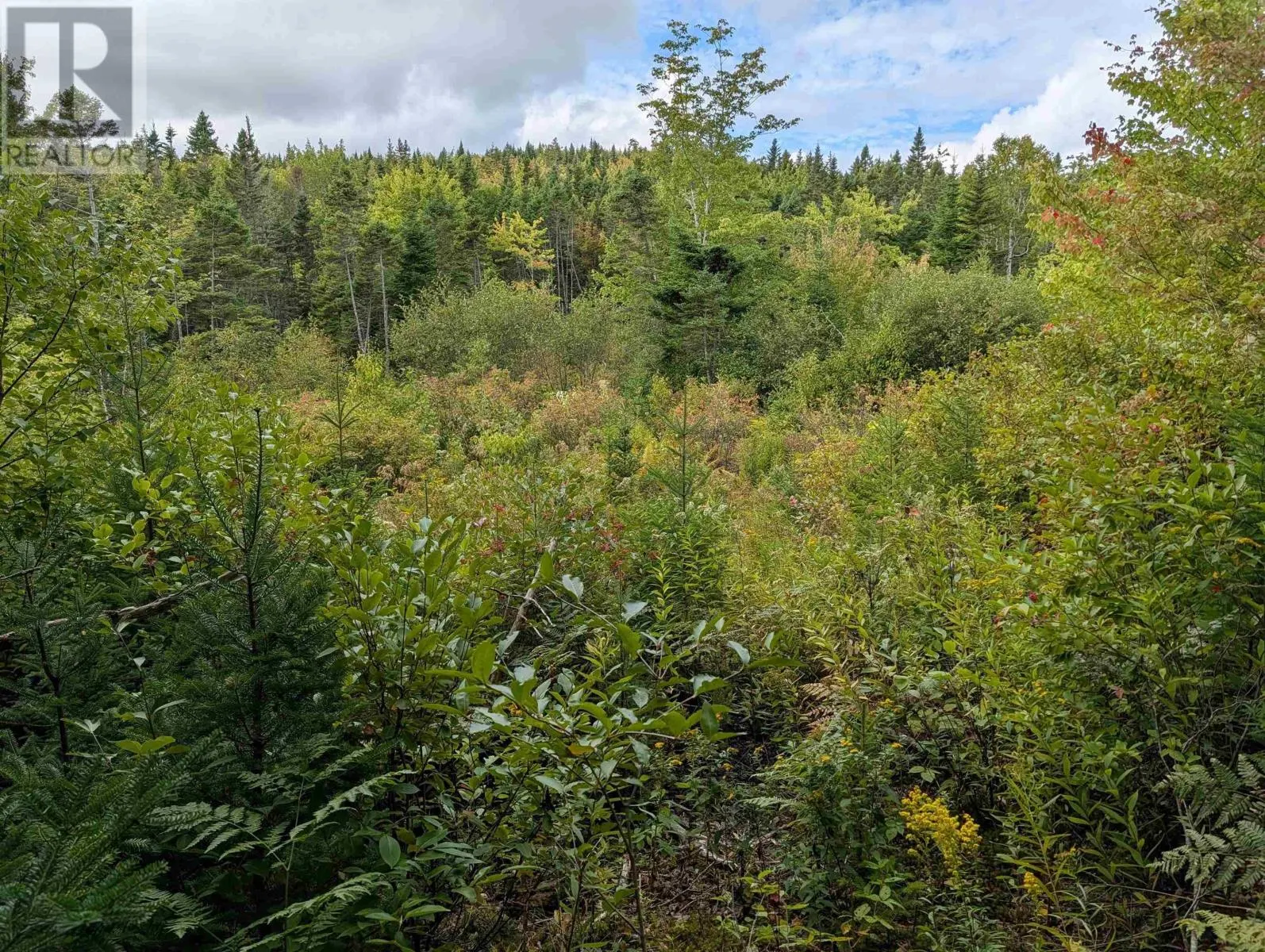 Lot 1 Highway 316