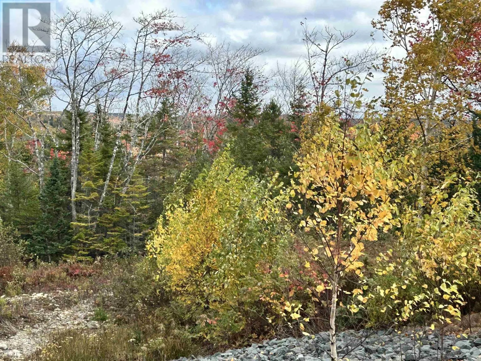 Lot 58 Riverside Drive