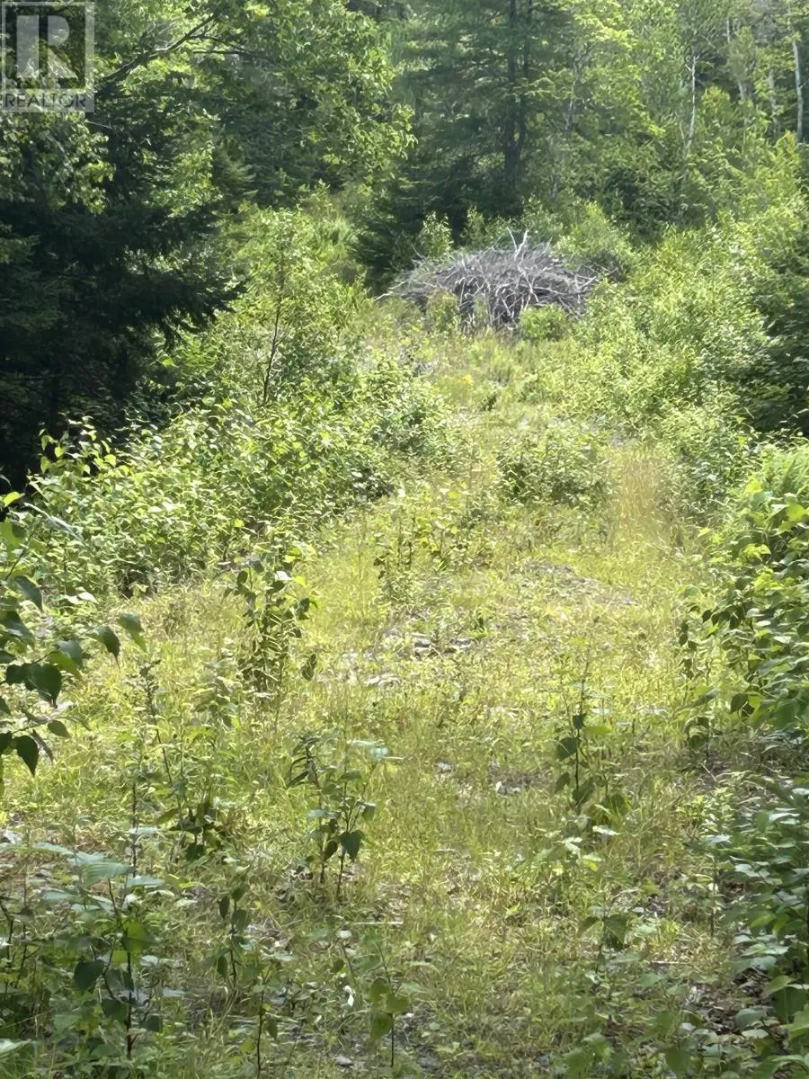 Lot 58 Riverside Drive