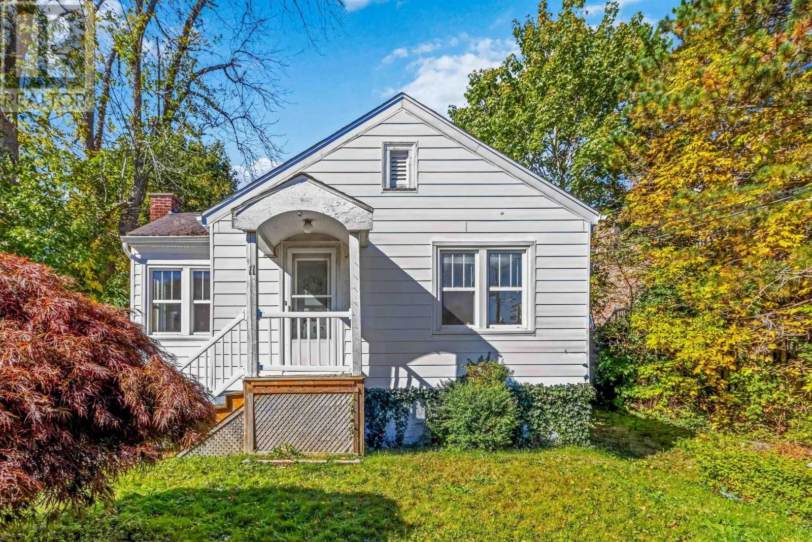 11 Ashdale Avenue