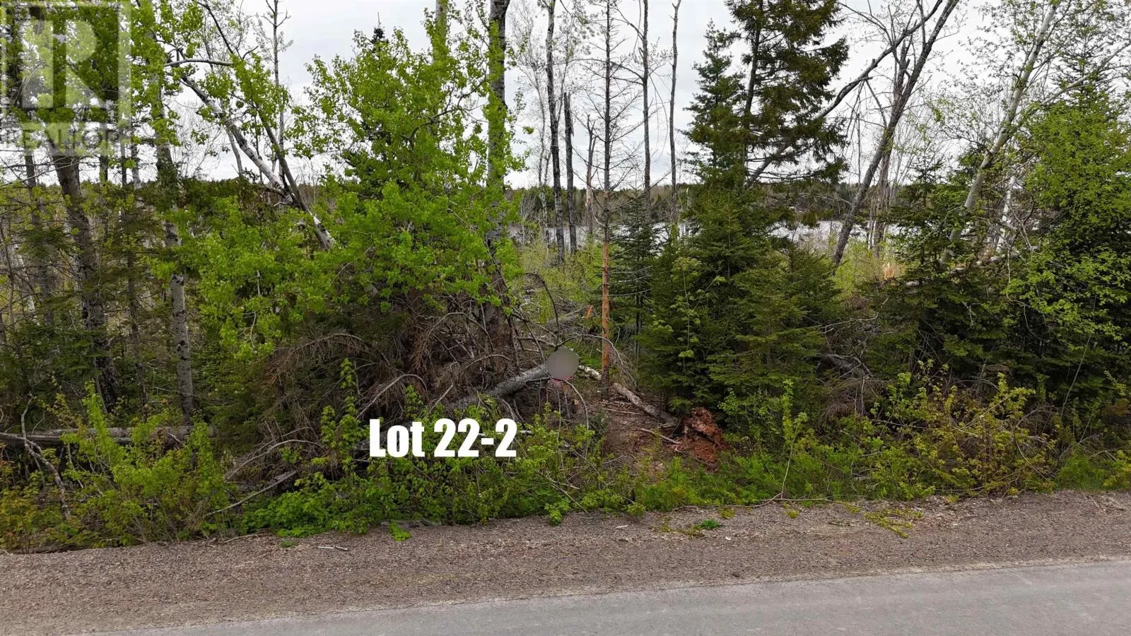 Lot 22-2 Lake Road