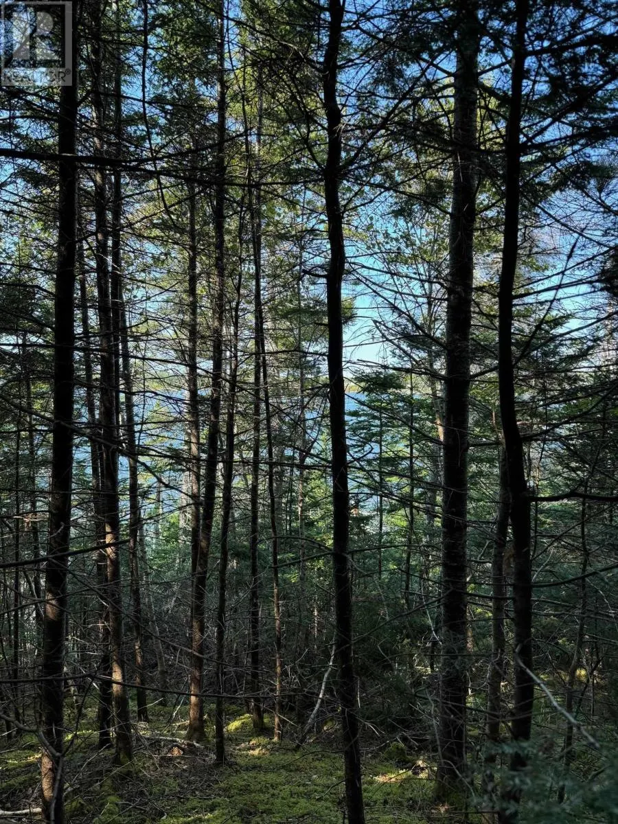 Lot 15 32 Orion Crescent