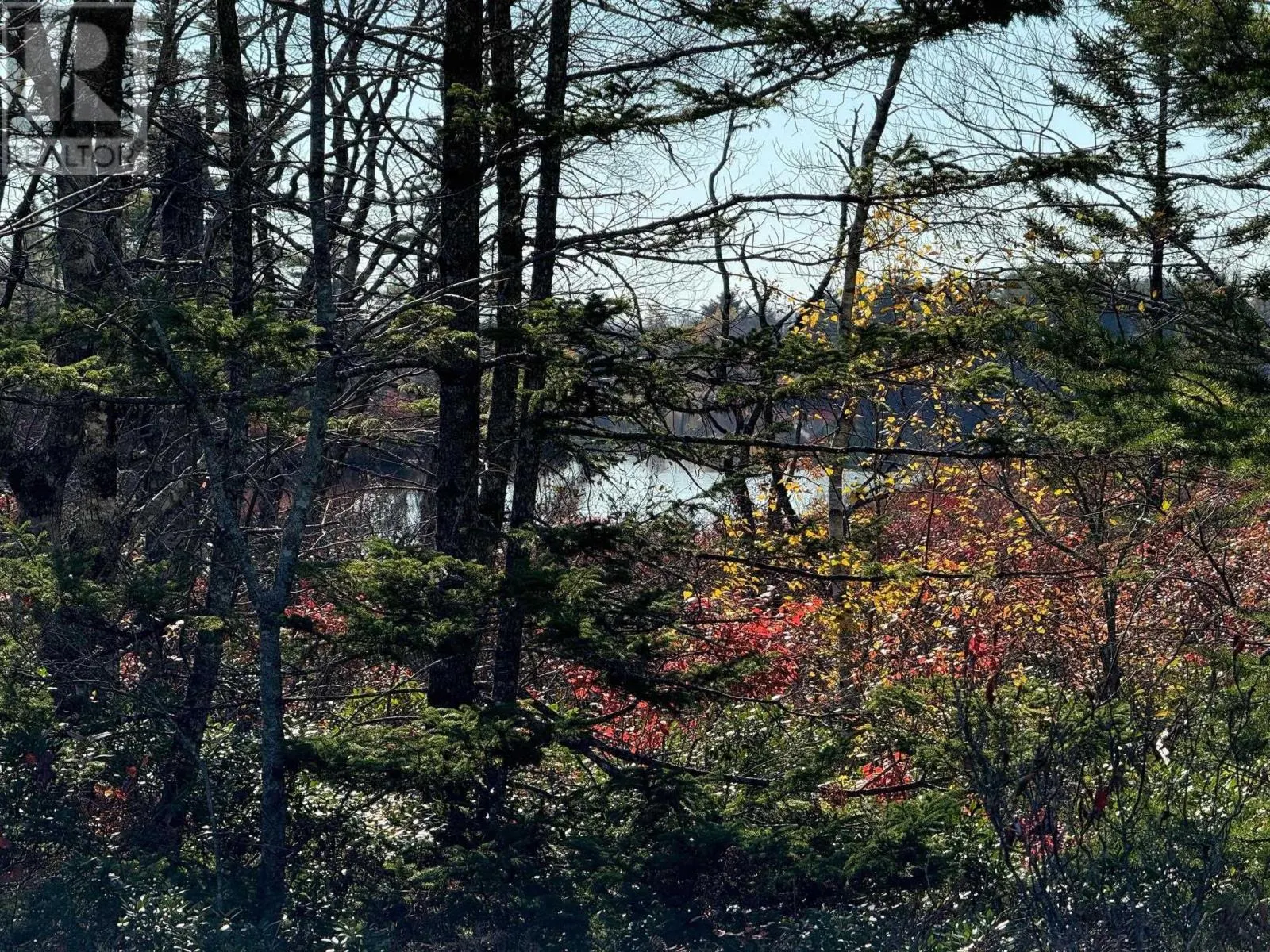 Grant 5942 Jacksons Mountain