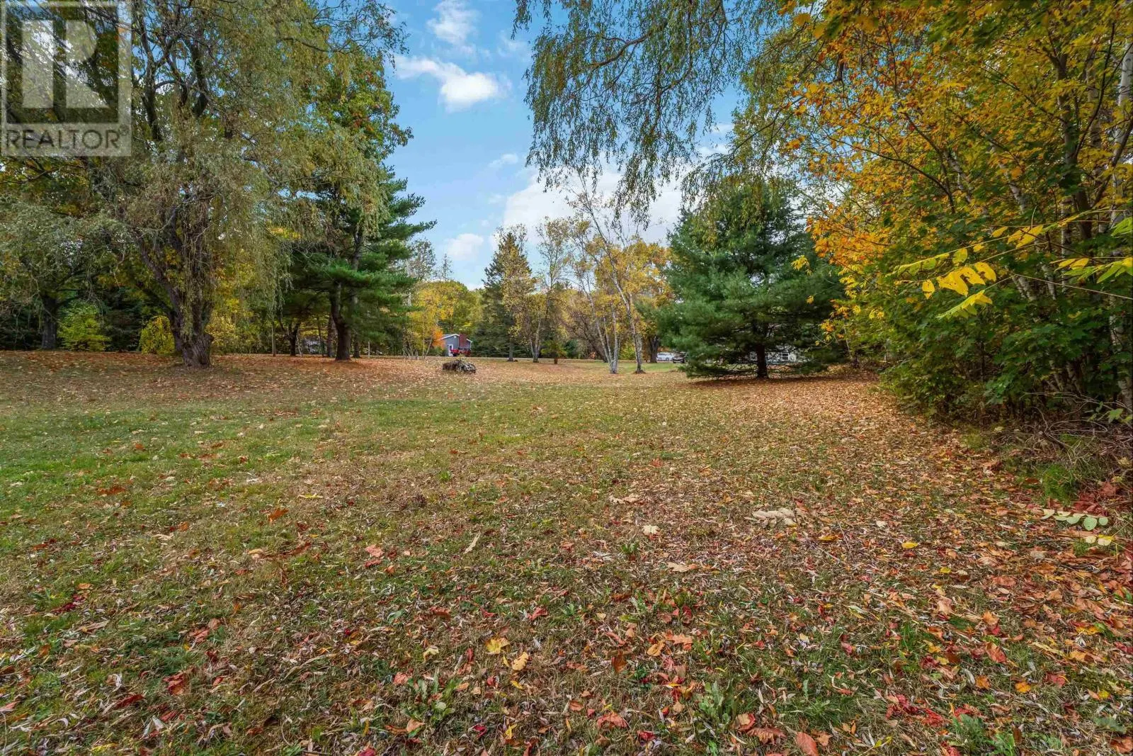 1011 Lone Pine Drive