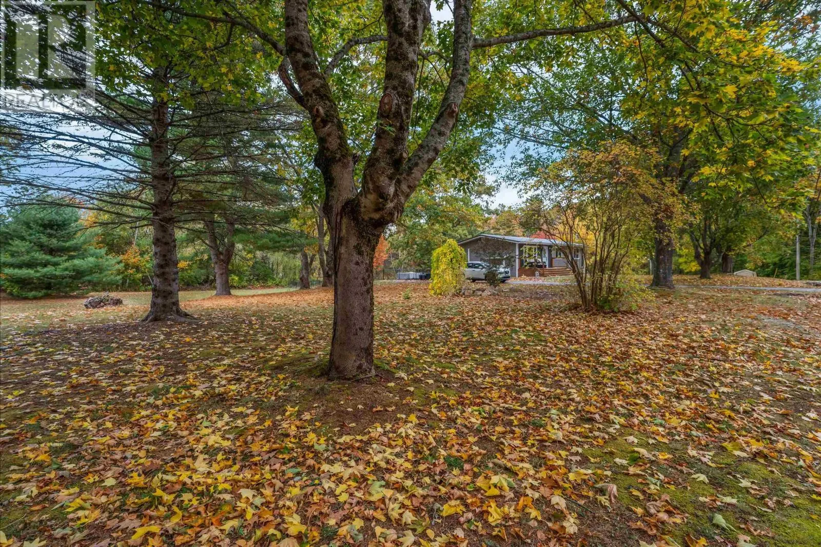 1011 Lone Pine Drive