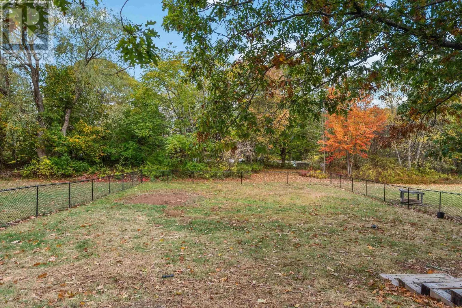 1011 Lone Pine Drive
