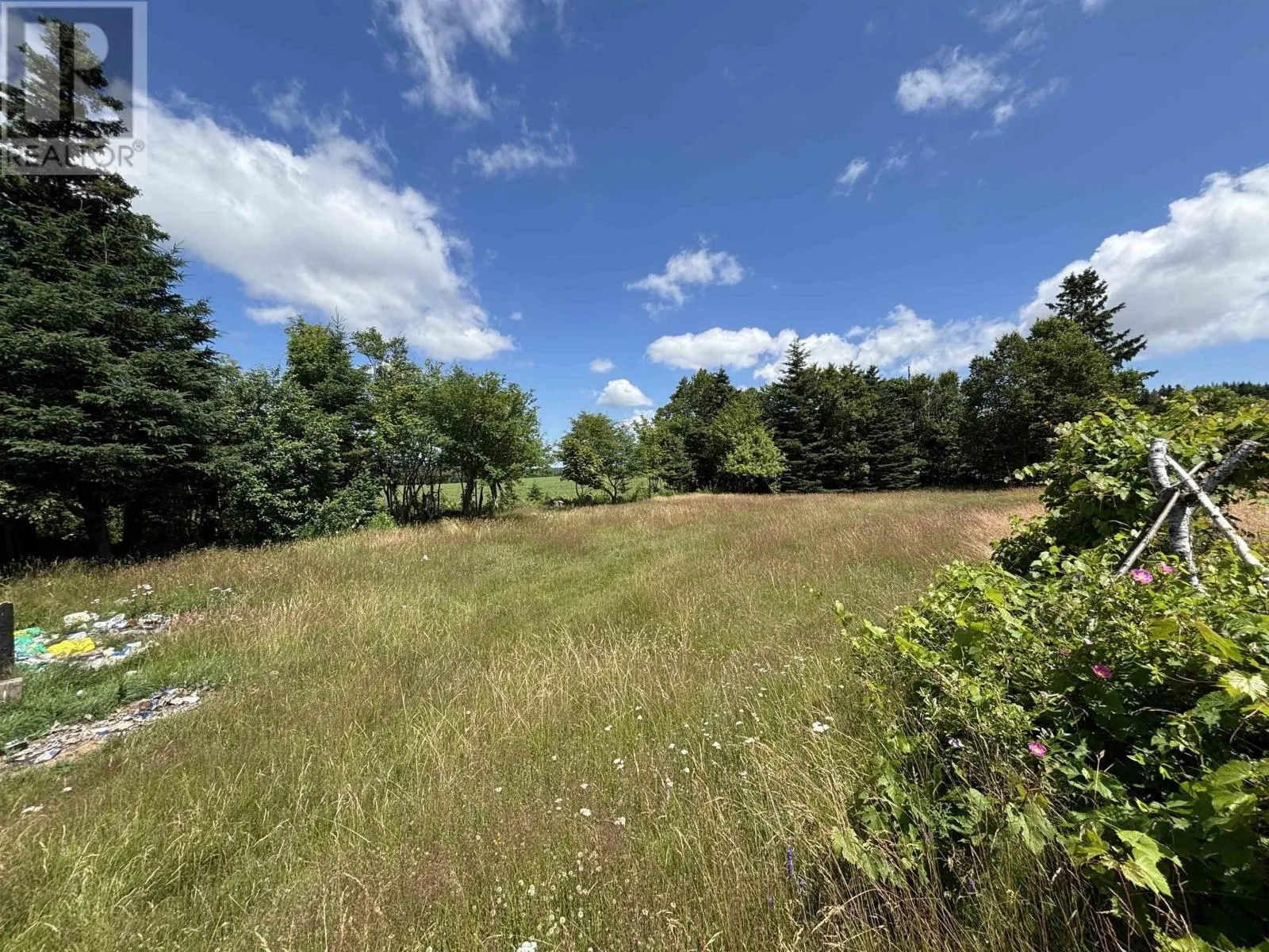 980 Canoe Cove Road|RTE 19A