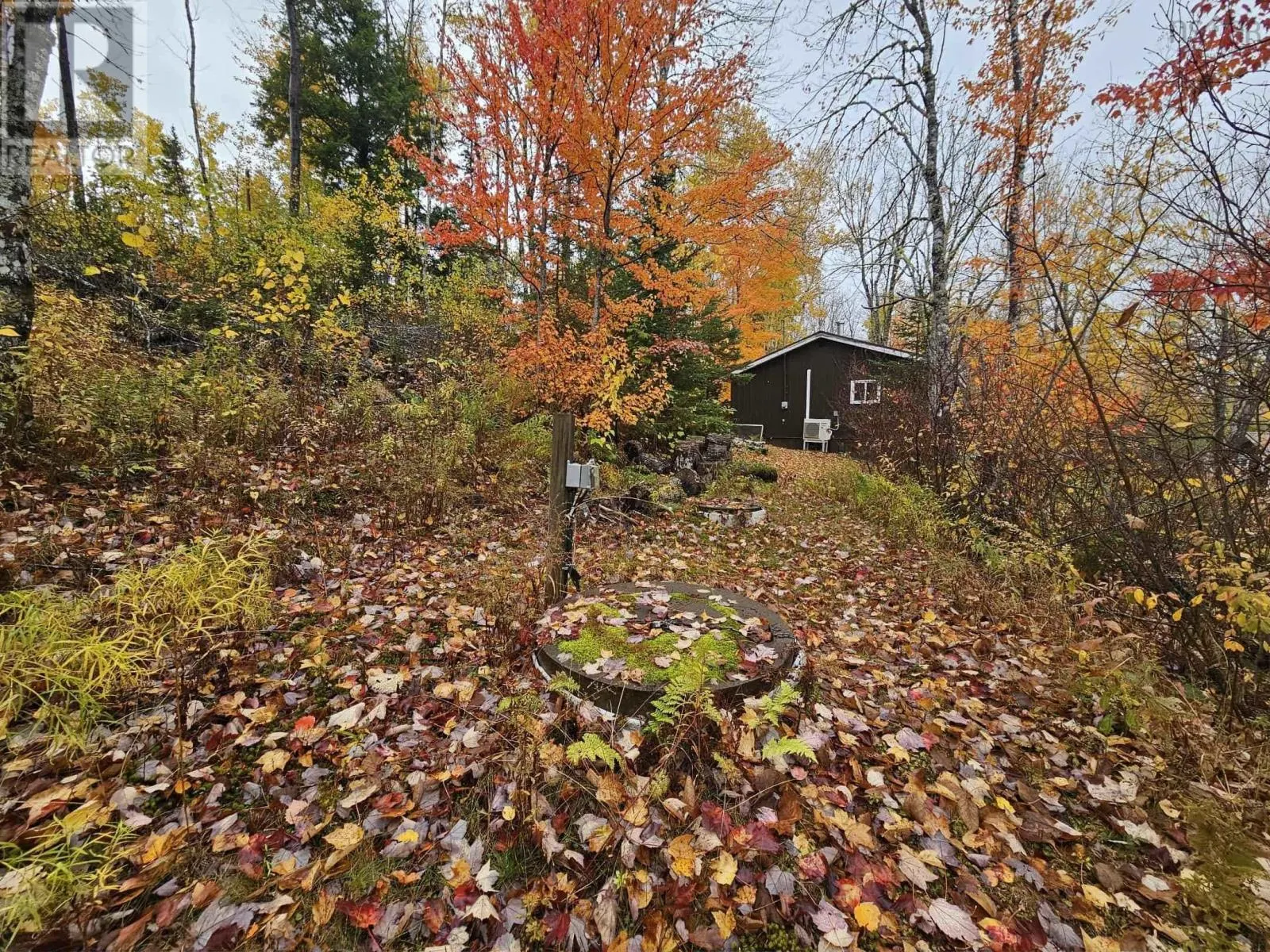 1127 Lake Road