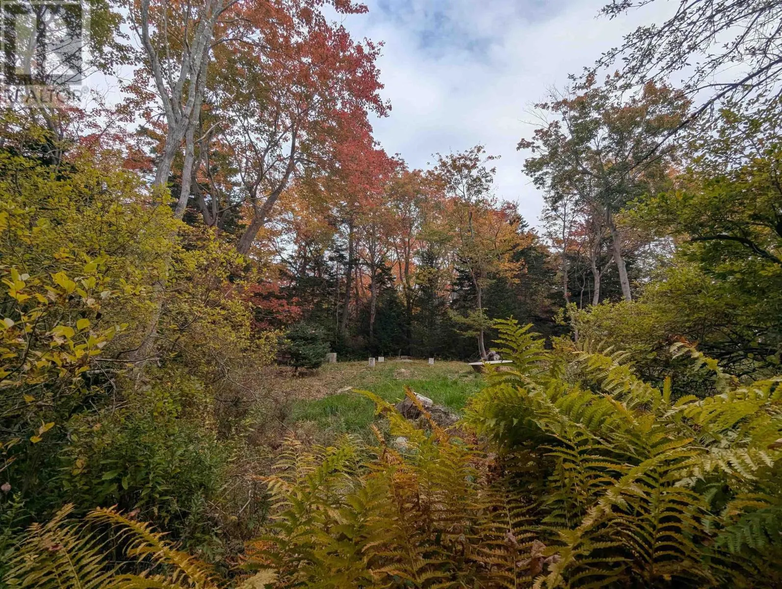 984 Herring Cove Road