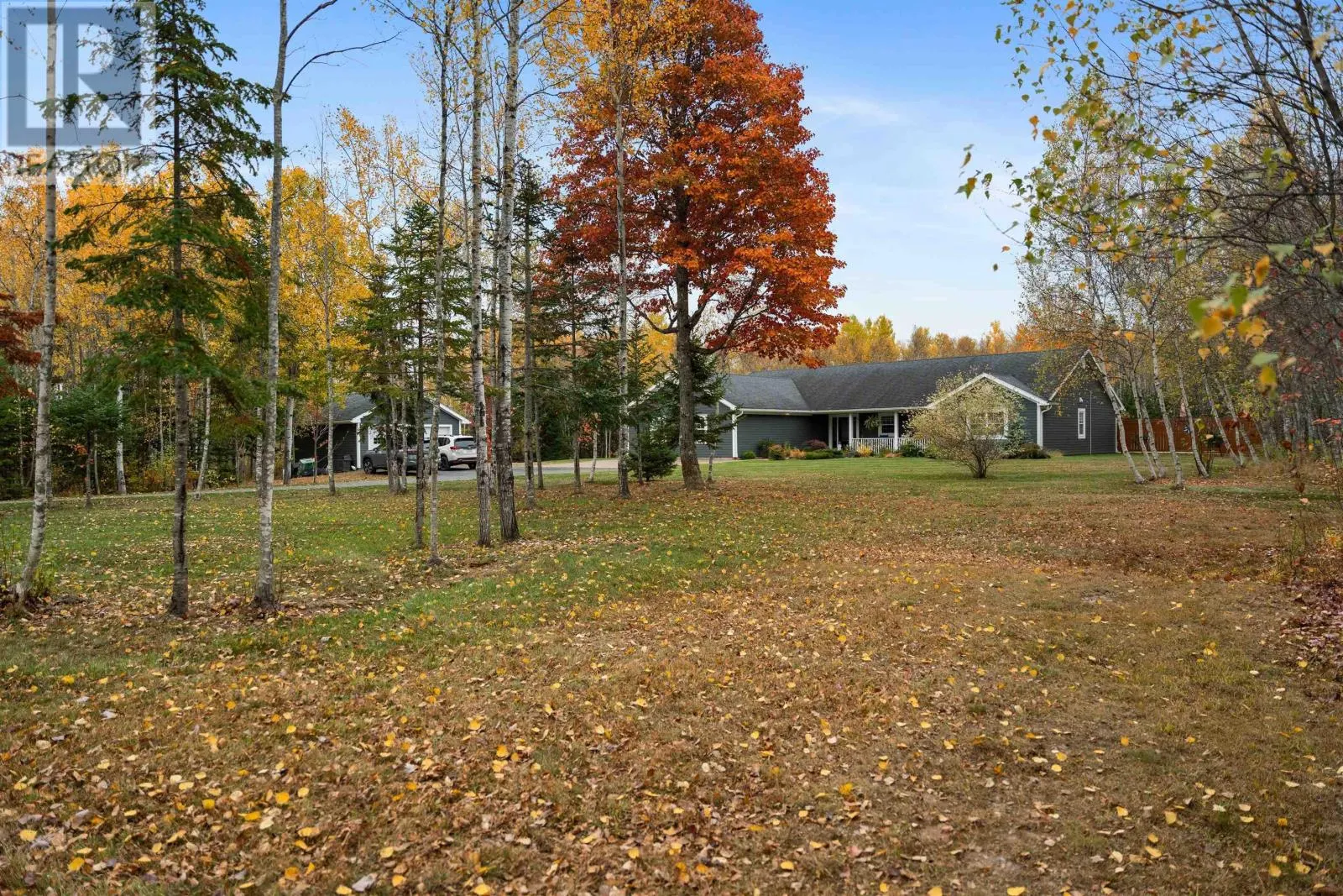 199 Sylvester Road