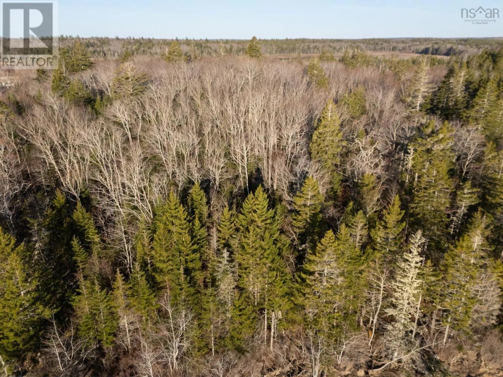 Lot 1 Highway 308