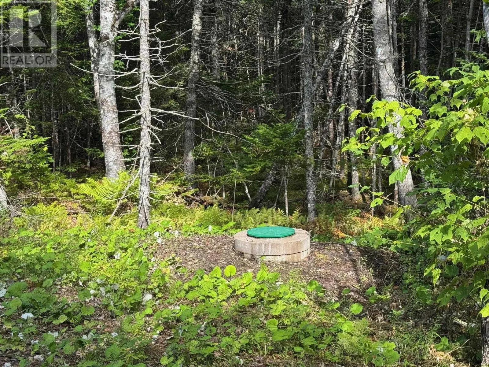Marble Mountain Road|Redbird drive, Big Harbour Centre