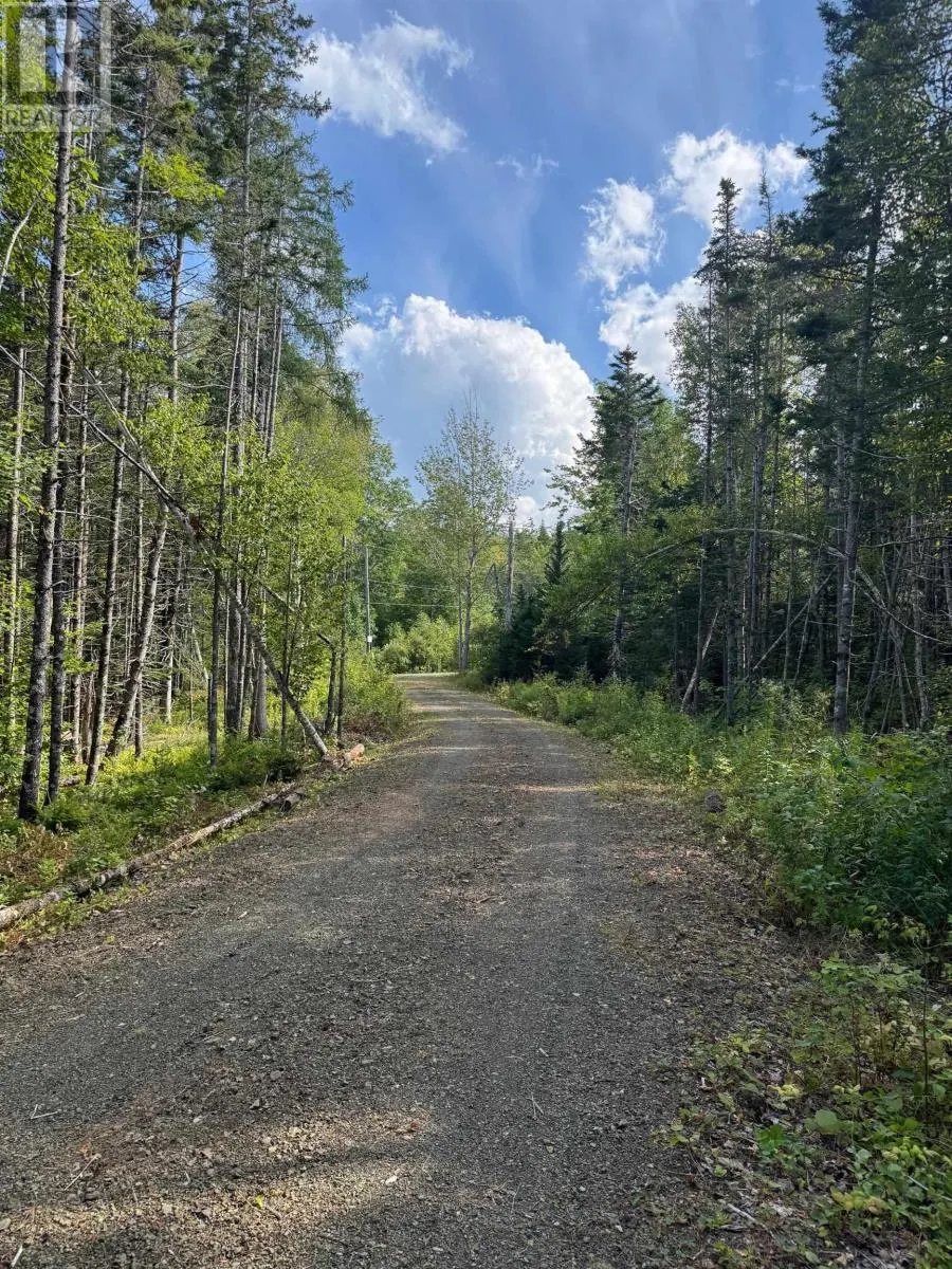 Marble Mountain Road|Redbird drive, Big Harbour Centre