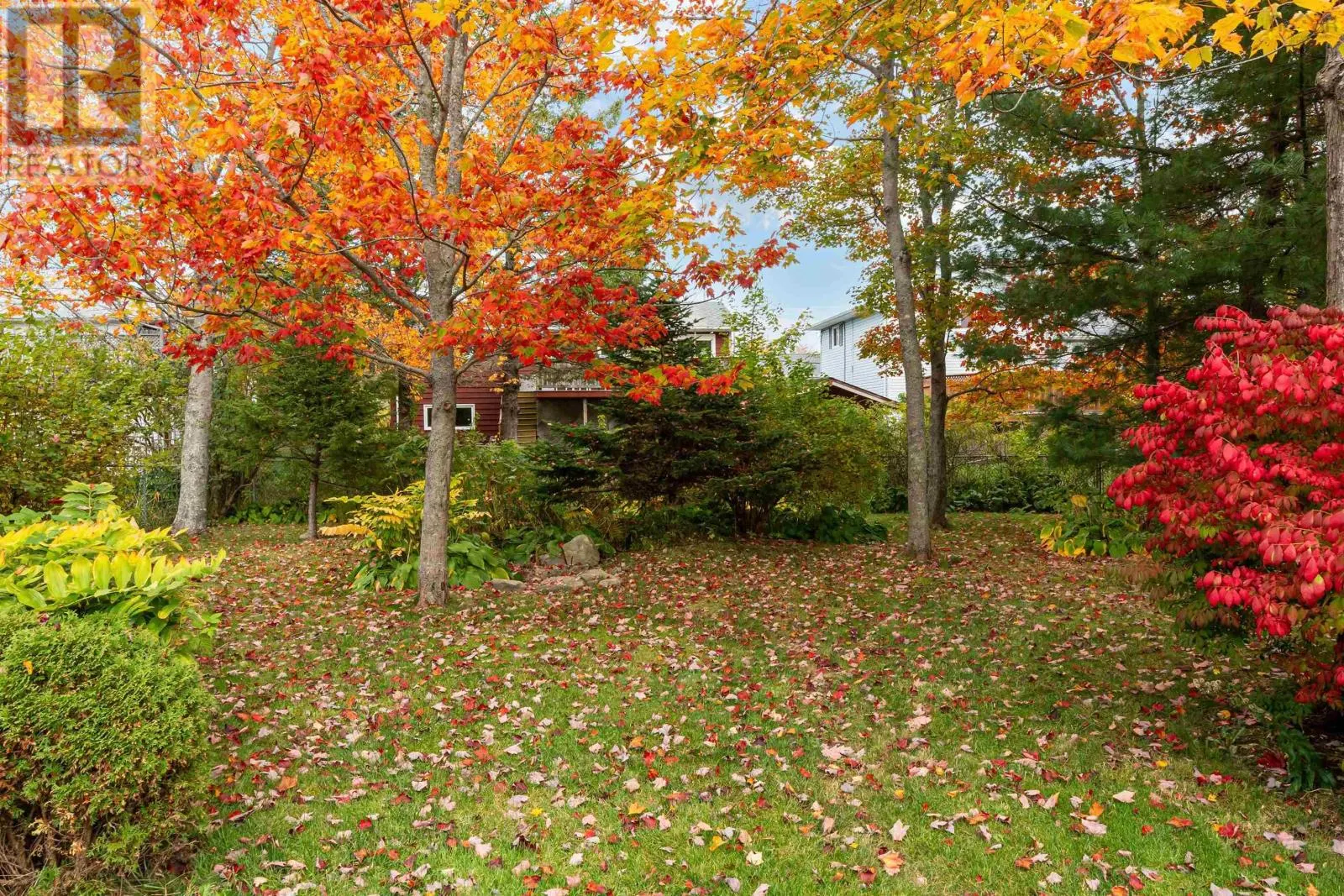 50 Spence Drive