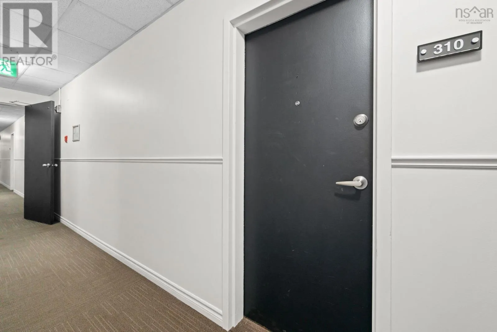 310-7 Jamieson Street