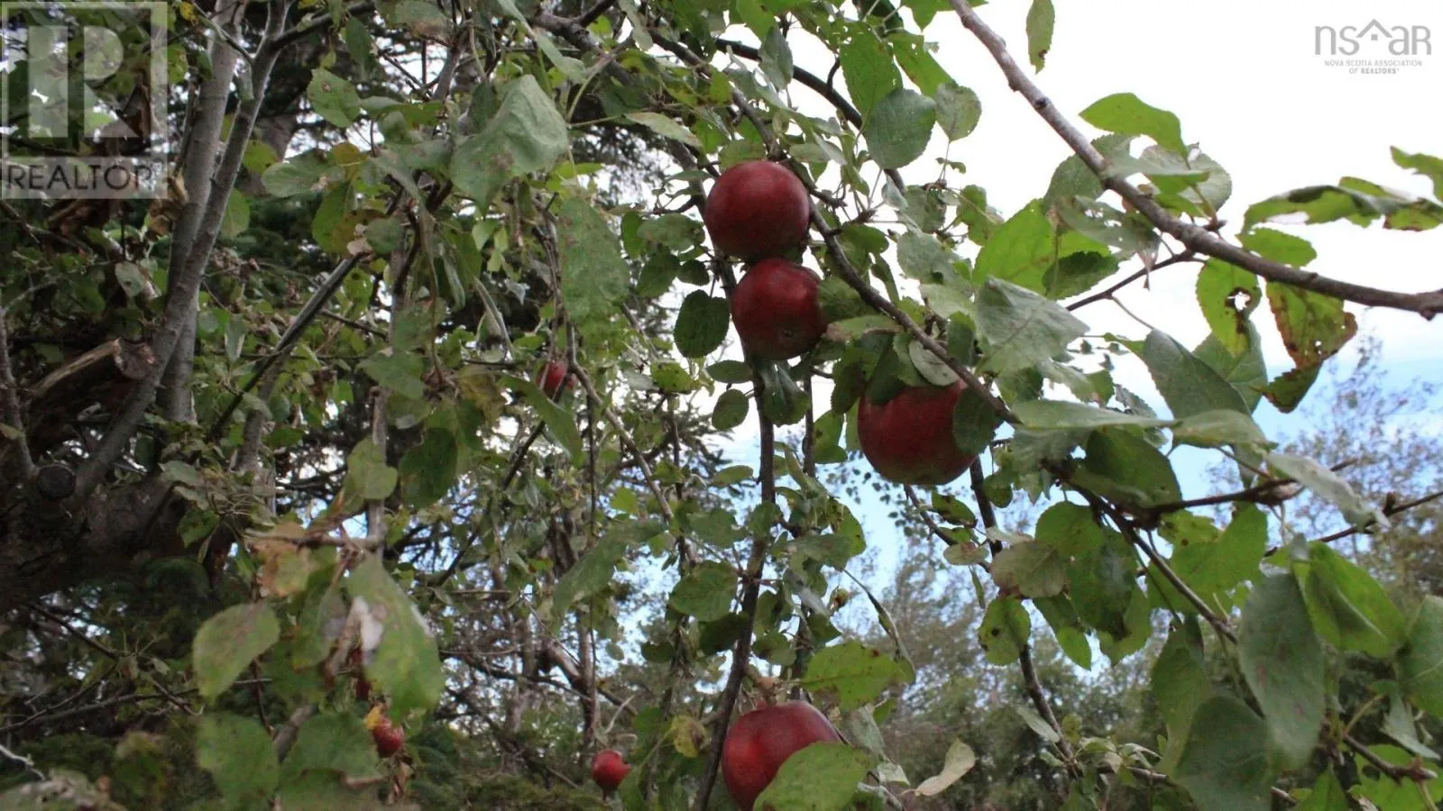 3 Flower Garden Lane