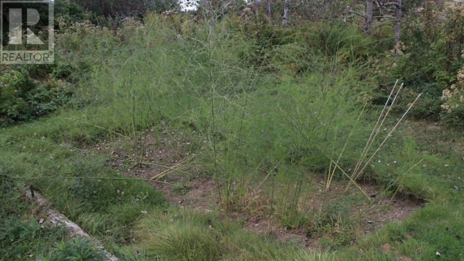 3 Flower Garden Lane