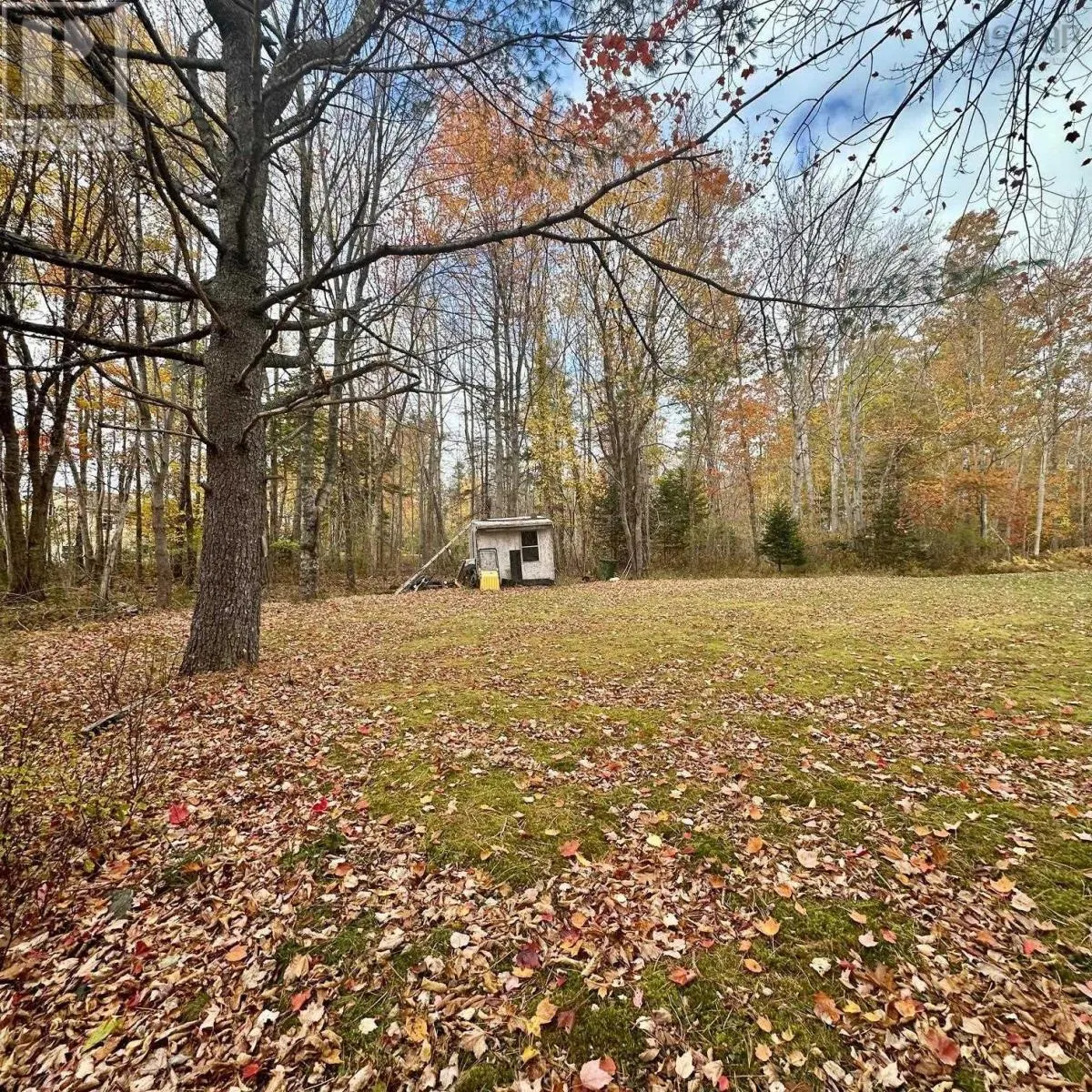 2977 Northfield Road