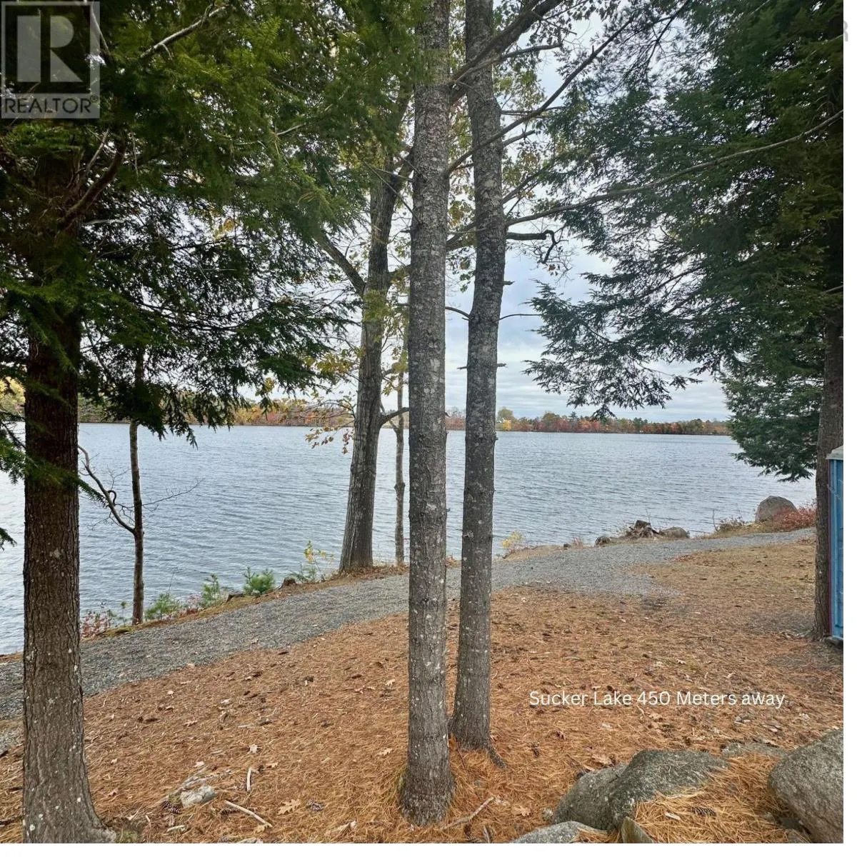 2977 Northfield Road