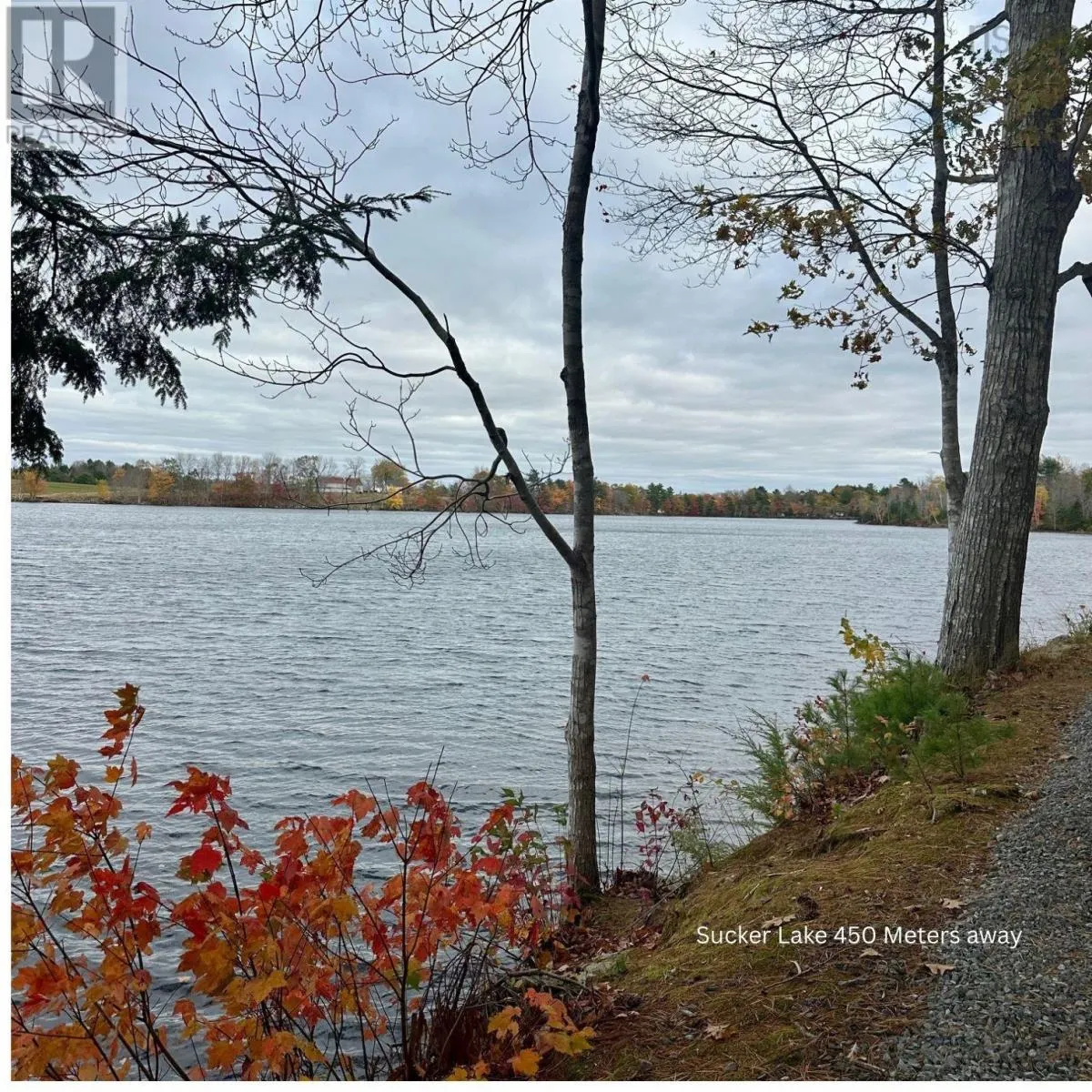 2977 Northfield Road