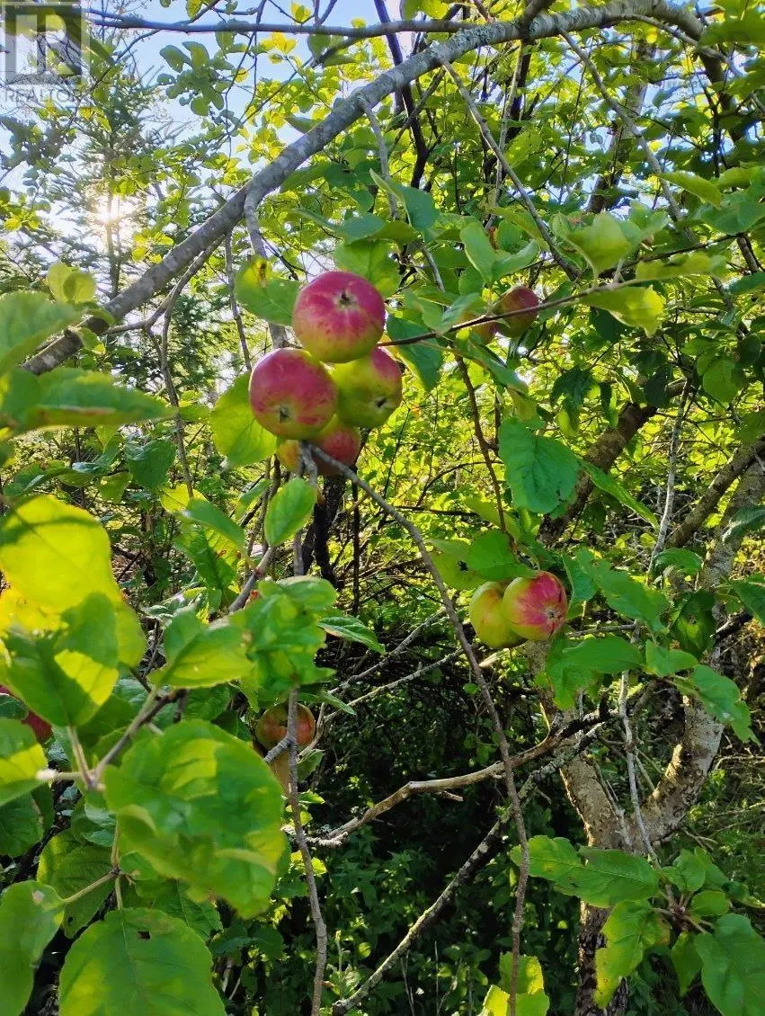 Acreage Highway NO 7