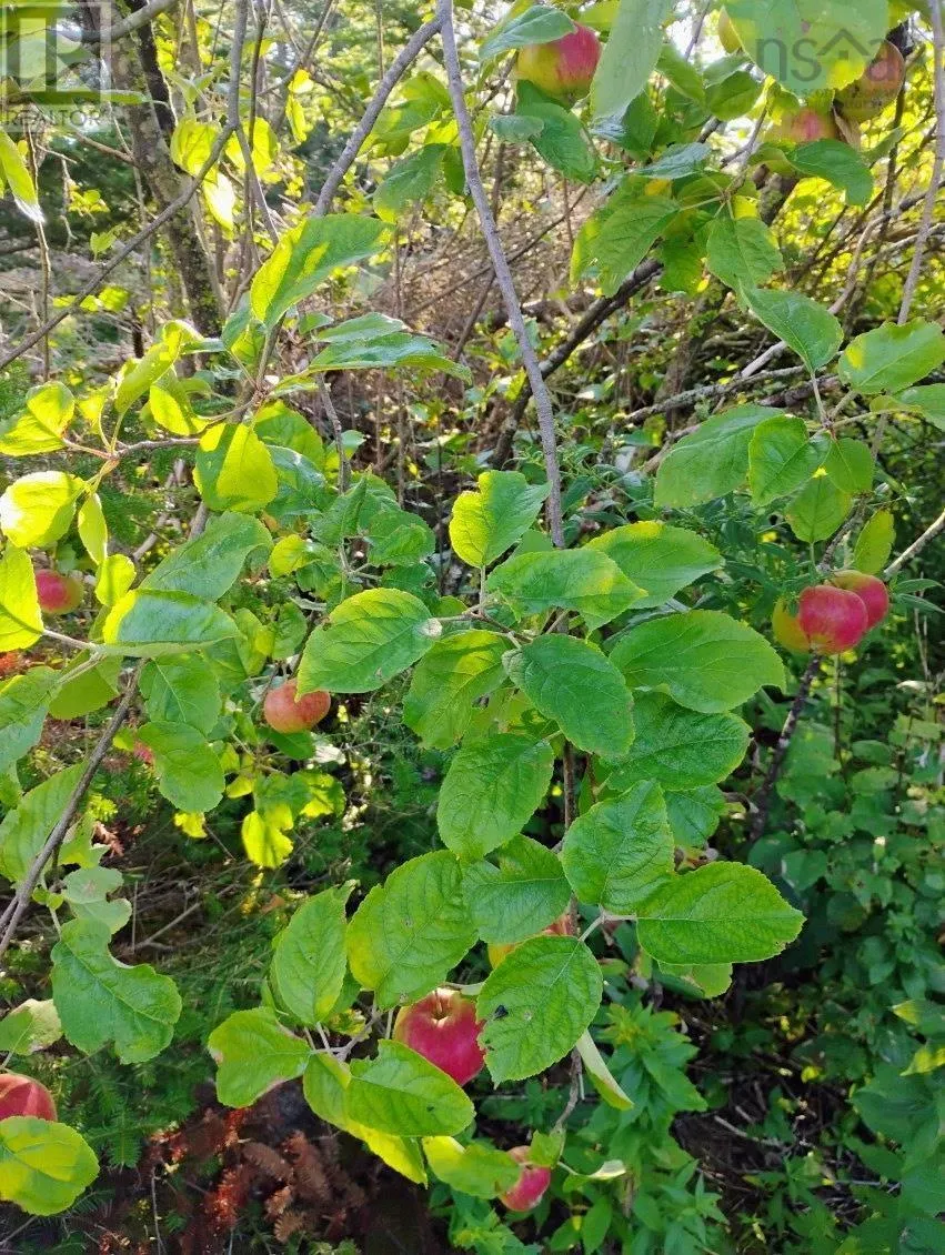 Acreage Highway NO 7