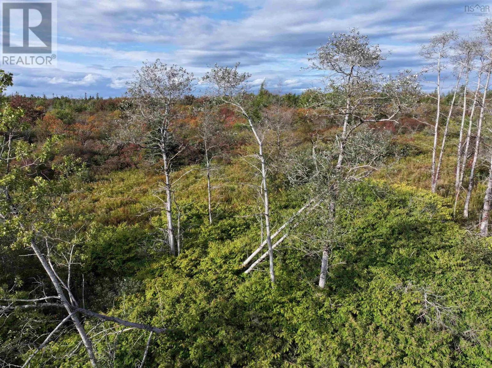 Lot 1 Goldenville Road